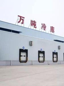四合院之开局有了家